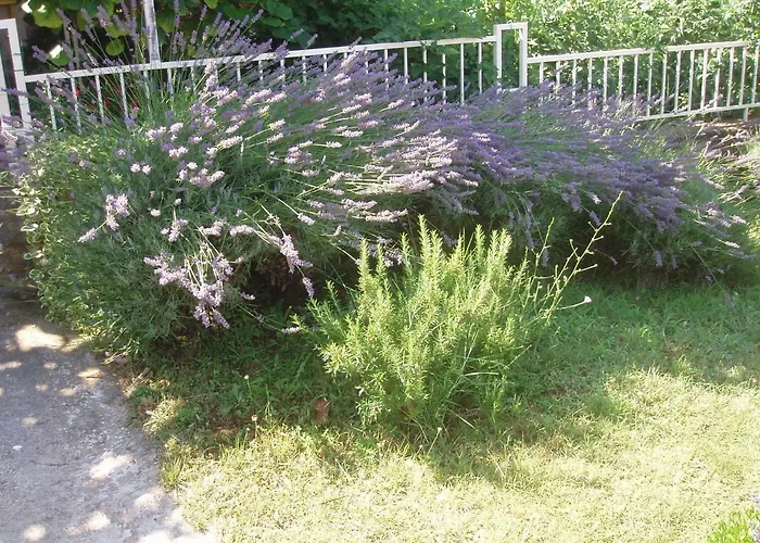 Apartments Diklo Marija
